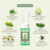 3 - Oriental Botanics Australian Tea Tree Foaming Face Wash,  120 ml  for Acne Prone & Oily Skin with Built-In Brush 