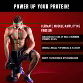 5 - MuscleTech Performance Series NitroTech Power,  4 lb  Triple Chocolate 