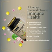 4 - Kapiva Chyawanprash,  0.5 kg 