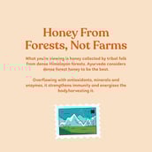 8 - Kapiva Ginger Burst Honey,  250 g  Unflavoured 