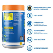 Fast & Up Whey Essentials, 1.05 lb Rich Chocolate