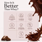 4 - Kapiva Vegan Protein,  Chocolate (Post-Workout Recovery)  2.2 lb 