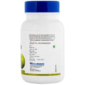 Healthvit Amda Amla powder (250mg),  60 capsules 