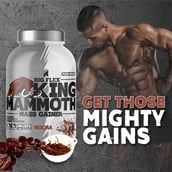 4 - Big Flex King Mammoth Mass Gainer,  6.6 lb  Mocha 