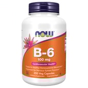 1 - Now Vitamin B-6 100 mg,  250 veggie capsule(s)  Unflavoured 
