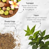 4 - Kapiva Hair Rituals Dandruff Control Neem Triphaladi Shampoo,  250 ml  for All Hair Types 