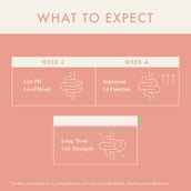 3 - Cosmix Prebiotics My Happy Gut,  60 g  Unflavoured (Pouch, Pack of 3) 