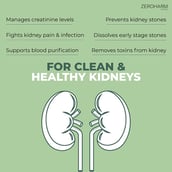 4 - Zeroharm Holo Kidney Detox, 60 tablet(s)