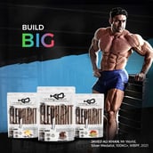 4 - Absolute Nutrition Knockout Series Elephant Mass Gainer,  2.2 lb  Belgium Chocolate 