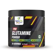 Nutra On Pro Glutamine,  0.22 lb  Unflavoured 