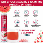 6 - Naturyz L-Carnitine 2400 20 Tablets & Platinum CLA-Carnitine 450ml Como,  2 Piece(s)/Pack  Water Melon Masala & Orange 