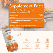 3 - Rooted Active Naturals Plant Protein,  1.1 lb  Chocolate 