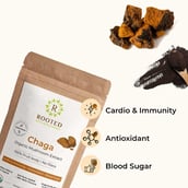 6 - Rooted Active Naturals Chaga Organic Mushroom Extract,  120 g 
