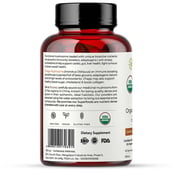 2 - Rooted Active Naturals Chaga Organic Mushroom Extract, 90 veggie capsule(s)