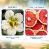 4 - VLCC Radiance Pro Sun Screen Gel,  100 g  Saxifraga & Grape Fruit Extracts 