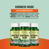 7 - Morpheme Remedies Natural Slim (with Garcinia),  60 veggie capsule(s)  Unflavoured 