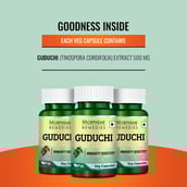 7 - Morpheme Remedies Guduchi (500 mg), 60 veggie capsule(s)