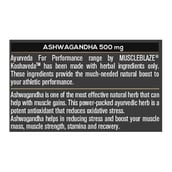 MuscleBlaze Ayurveda for Performance - Ashwagandha 30 tabs & ZMA 60 tabs Combo
