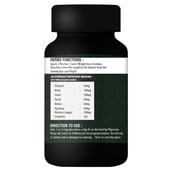 5 - Riffway Slim Up,  60 capsules  Unflavoured (Pack of 3) 