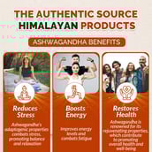 6 - Divya Himalayan Ashwagandha,  60 capsules 