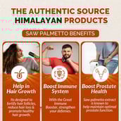 4 - Divya Himalayan Saw Palmetto Extract (Pack of 2),  30 capsules 