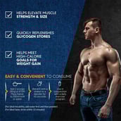 3 - AS-IT-IS Nutrition ATOM Mass Gainer, 3.3 lb Double Rich Chocolate