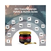 5 - Tata 1mg Tejasya Shilajit Resin, 20 g