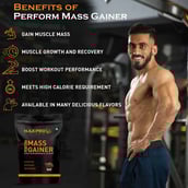 5 - Nakpro Perform Mass Gainer,  2.2 lb  Double Rich Chocolate 