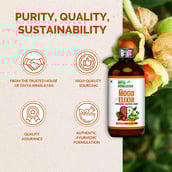 4 - Divya Himalayan Super Mood Elixir (Pack of 2),  450 ml 