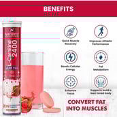 5 - Naturyz L-Carnitine 2400,  20 tablet(s)  WaterMelon Masala (Pack of 3) 