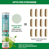 4 - Naturyz Plant KSM-66 with Ashwagandha- Pack of 3,  15 tablet(s) 