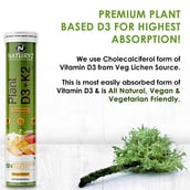 3 - Naturyz Plant D3+K2, 15 tablet(s) Mango (Pack of 3)