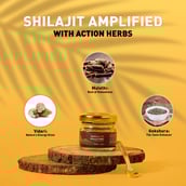 5 - Koshaveda Shilajit Pro by MuscleBlaze,  20 g