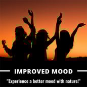 5 - Humming Herbs Ginkgo Biloba Ginseng,  90 capsules 