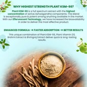 6 - Naturyz Plant KSM-66 with Ashwagandha(Apple Green Flavour),  60 tablet(s) 