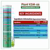 2 - Naturyz Plant KSM-66 with Ashwagandha(Apple Green Flavour),  45 tablet(s) 