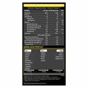 3 - MuscleBlaze Whey Gold Protein,  2.2 lb  Rich Milk Chocolate 