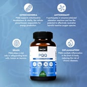 5 - StemRX PQQ,  60 capsules 