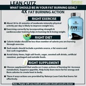 6 - Naturyz Lean Cutz Thermogenic Fat Burner,  60 tablet(s)  Unflavoured (Pack of 2) 