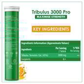 2 - Naturyz Tribulus 3000 Pro Flavour Orange,  15 tablet(s) 
