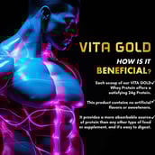 9 - Vitaminnica Vita Gold Whey Protein Blend,  5 lb  Irish Cream Chocolate 