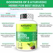 4 - Naturyz Veda Natural T-MAX Booster, 60 tablet(s)