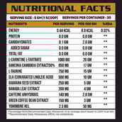 4 - Ripped Up Nutrition Pro Series Alpha Shred,  0.33 lb  Kiwi Strawberry 