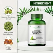 7 - Simply Herbal Green Tea Extract 500mg,  60 capsules  Unflavoured (Pack of 2) 