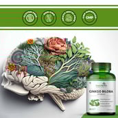 4 - Simply Herbal Ginkgo Biloba with Brahmi (Pack of 2),  90 veggie capsule(s) 