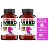 1 - Humming Herbs Horny Goat Weed with Maca Root,  180 capsules 