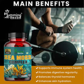 4 - Humming Herbs Sea Moss Complex, 60 capsules