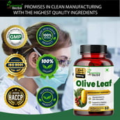 6 - Humming Herbs Olive Leaf & Fruit Extract,  60 capsules 