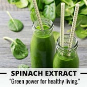 5 - Humming Herbs Eyecare with Zeaxanthin & Lutein 400mg, 60 capsules