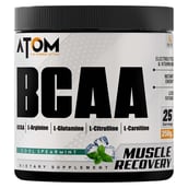 1 - AS-IT-IS Nutrition ATOM BCAA,  0.55 lb  25 Servings  Cool Spearmint 